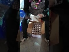 Fabbricazione a partire da materiali di cui all'allegato II