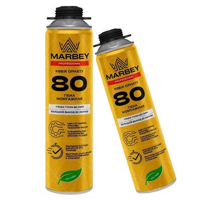 Spray di schiuma di poliuretano resistente al calore personalizzato 750 ml
